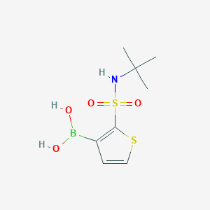 2-(t-Butylsulfamoyl)thiophene-3-boronic acid