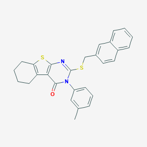 molecular formula C28H24N2OS2 B306052 3-(3-methylphenyl)-2-[(2-naphthylmethyl)sulfanyl]-5,6,7,8-tetrahydro[1]benzothieno[2,3-d]pyrimidin-4(3H)-one 