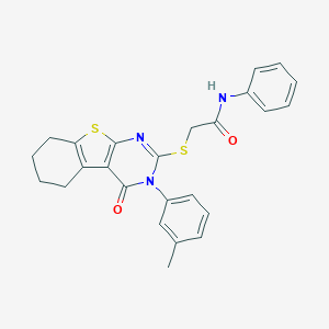 molecular formula C25H23N3O2S2 B306060 2-{[3-(3-methylphenyl)-4-oxo-3,4,5,6,7,8-hexahydro[1]benzothieno[2,3-d]pyrimidin-2-yl]sulfanyl}-N-phenylacetamide 