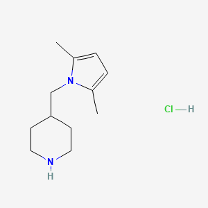 molecular formula C12H21ClN2 B3060649 4-[(2,5-二甲基-1H-吡咯-1-基)甲基]哌啶盐酸盐 CAS No. 614746-08-6
