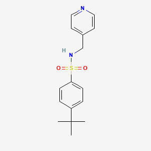 molecular formula C16H20N2O2S B3060697 4-tert-butyl-N-(pyridin-4-ylmethyl)benzenesulfonamide CAS No. 660436-76-0