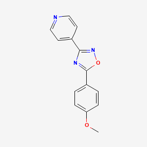 molecular formula C14H11N3O2 B3060805 4-[5-(4-Methoxyphenyl)-1,2,4-oxadiazol-3-yl]pyridine CAS No. 88085-28-3