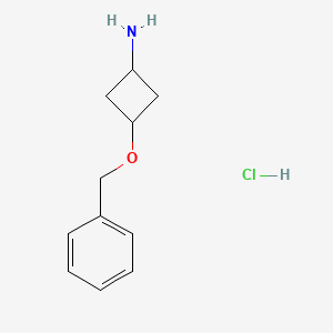 molecular formula C11H16ClNO B3060843 trans-3-(Benzyloxy)cyclobutanamine hydrochloride CAS No. 905823-30-5