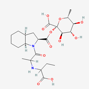 molecular formula C23H36N2O11 B3060914 Perindoprilat glucuronide CAS No. 120381-56-8