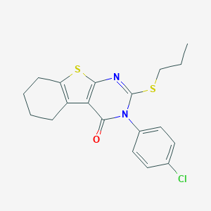 molecular formula C19H19ClN2OS2 B306117 3-(4-chlorophenyl)-2-(propylsulfanyl)-5,6,7,8-tetrahydro[1]benzothieno[2,3-d]pyrimidin-4(3H)-one 