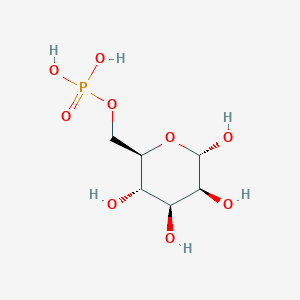 molecular formula C6H13O9P B3062771 alpha-D-mannose 6-phosphate CAS No. 40436-60-0