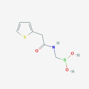 molecular formula C7H10BNO3S B3062856 N-2-Thiophen-2-YL-acetamide boronic acid CAS No. 448211-54-9