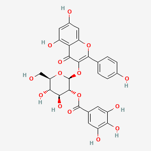 molecular formula C28H24O15 B3063683 4H-1-Benzopyran-4-one, 5,7-dihydroxy-2-(4-hydroxyphenyl)-3-((2-O-(3,4,5-trihydroxybenzoyl)-beta-D-glucopyranosyl)oxy)- CAS No. 76343-90-3