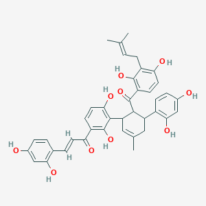 molecular formula C40H38O10 B3063988 桑酮 J CAS No. 83709-26-6