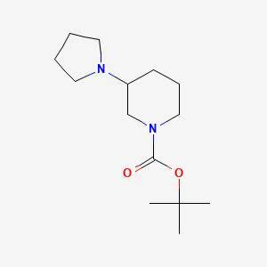 molecular formula C14H26N2O2 B3064633 3-(1-吡咯烷基)-1-哌啶甲酸 1,1-二甲基乙酯 CAS No. 144243-26-5