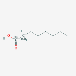molecular formula C8H16O2 B3064783 (1,2-13C2)Octanoic acid CAS No. 202114-57-6