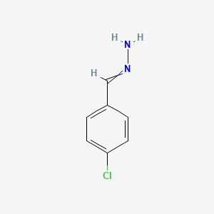 molecular formula C7H7ClN2 B3065576 Benzaldehyde, 4-chloro-, hydrazone CAS No. 52372-80-2