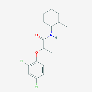 molecular formula C16H21Cl2NO2 B306677 2-(2,4-dichlorophenoxy)-N-(2-methylcyclohexyl)propanamide 