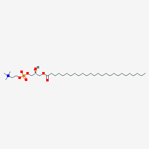 molecular formula C34H70NO7P B3067487 溶血磷脂酰胆碱 a C26:0 CAS No. 1213783-80-2