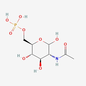 molecular formula C8H16NO9P B3067858 N-Acetyl-D-glucosamine 6-phosphate CAS No. 18191-20-3