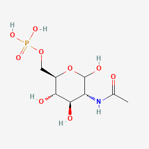 molecular formula C8H16NO9P B3067858 N-乙酰-D-葡萄糖胺 6-磷酸 CAS No. 18191-20-3