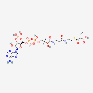 molecular formula C26H42N7O19P3S B3069595 乙基丙二酰辅酶 A CAS No. 6049-57-6