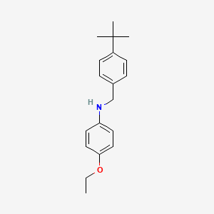 molecular formula C19H25NO B3070367 N-[4-(叔丁基)苄基]-4-乙氧基苯胺 CAS No. 1002652-12-1