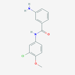 molecular formula C14H13ClN2O2 B3072127 3-Amino-N-(3-chloro-4-methoxyphenyl)benzamide CAS No. 1016534-19-2