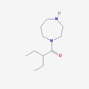 molecular formula C11H22N2O B3072367 1-(1,4-Diazepan-1-YL)-2-ethylbutan-1-one CAS No. 1016723-43-5