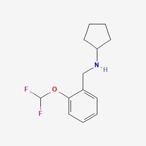 molecular formula C13H17F2NO B3074261 N-{[2-(Difluoromethoxy)phenyl]methyl}cyclopentanamine CAS No. 1019532-83-2