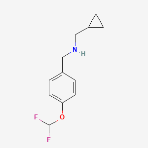 molecular formula C12H15F2NO B3074368 (Cyclopropylmethyl)({[4-(difluoromethoxy)phenyl]methyl})amine CAS No. 1019611-36-9