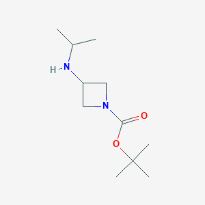 molecular formula C11H22N2O2 B3075685 Tert-butyl 3-(isopropylamino)azetidine-1-carboxylate CAS No. 1033716-68-5