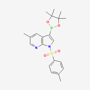 molecular formula C21H25BN2O4S B3075789 5-methyl-3-(4,4,5,5-tetramethyl-1,3,2-dioxaborolan-2-yl)-1-tosyl-1H-pyrrolo[2,3-b]pyridine CAS No. 1036028-17-7
