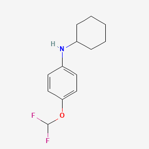molecular formula C13H17F2NO B3075830 N-环己基-4-(二氟甲氧基)苯胺 CAS No. 1036451-20-3