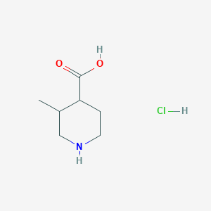 molecular formula C7H14ClNO2 B3076080 3-甲基哌啶-4-羧酸盐酸盐 CAS No. 1038992-98-1
