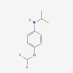 molecular formula C10H13F2NO B3076899 4-(Difluoromethoxy)-N-(propan-2-yl)aniline CAS No. 1042524-38-8