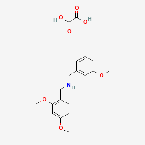 molecular formula C19H23NO7 B3077401 (2,4-Dimethoxy-benzyl)-(3-methoxy-benzyl)-amine oxalate CAS No. 1048026-00-1
