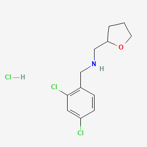 molecular formula C12H16Cl3NO B3077531 (2,4-Dichlorobenzyl)(tetrahydro-2-furanylmethyl)amine hydrochloride CAS No. 1048649-16-6