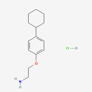 molecular formula C14H22ClNO B3077544 2-(4-Cyclohexylphenoxy)ethanamine hydrochloride CAS No. 1048664-03-4