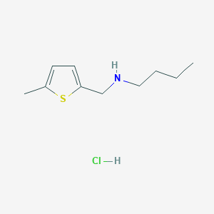 molecular formula C10H18ClNS B3077564 N-[(5-Methyl-2-thienyl)methyl]-1-butanamine hydrochloride CAS No. 1048664-63-6