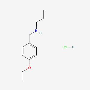 molecular formula C12H20ClNO B3077723 N-(4-Ethoxybenzyl)-1-propanamine hydrochloride CAS No. 1049677-98-6