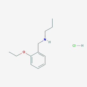 molecular formula C12H20ClNO B3077727 N-(2-乙氧基苄基)-1-丙胺盐酸盐 CAS No. 1049677-99-7