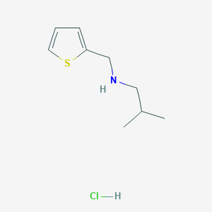 molecular formula C9H16ClNS B3077729 2-Methyl-N-(2-thienylmethyl)-1-propanamine hydrochloride CAS No. 1049678-06-9