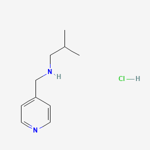 molecular formula C10H17ClN2 B3077731 2-Methyl-N-(4-pyridinylmethyl)-1-propanamine hydrochloride CAS No. 1049678-07-0