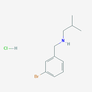 molecular formula C11H17BrClN B3077737 N-(3-Bromobenzyl)-2-methyl-1-propanamine hydrochloride CAS No. 1049678-09-2