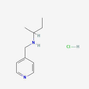 molecular formula C10H17ClN2 B3077758 N-(4-吡啶基甲基)-2-丁胺盐酸盐 CAS No. 1049678-14-9