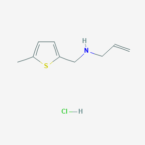 molecular formula C9H14ClNS B3077784 N-[(5-Methyl-2-thienyl)methyl]-2-propen-1-amine hydrochloride CAS No. 1049678-38-7