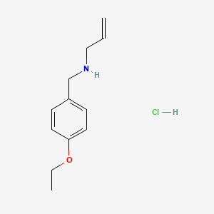 molecular formula C12H18ClNO B3077786 N-(4-乙氧基苄基)-2-丙烯-1-胺盐酸盐 CAS No. 1049678-40-1