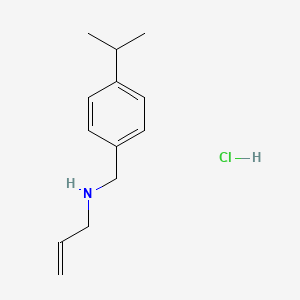 molecular formula C13H20ClN B3077820 N-(4-Isopropylbenzyl)-2-propen-1-amine hydrochloride CAS No. 1049680-98-9