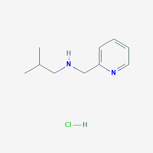 molecular formula C10H17ClN2 B3077885 2-Methyl-N-(2-pyridinylmethyl)-1-propanamine hydrochloride CAS No. 1049713-09-8