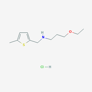 molecular formula C11H20ClNOS B3077923 (3-Ethoxy-propyl)-(5-methyl-thiophen-2-ylmethyl)-amine hydrochloride CAS No. 1049713-65-6