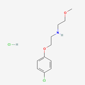 molecular formula C11H17Cl2NO2 B3078042 [2-(4-Chlorophenoxy)ethyl](2-methoxyethyl)amine hydrochloride CAS No. 1049743-00-1
