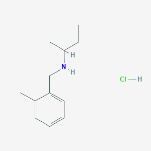 molecular formula C12H20ClN B3078064 N-(2-甲基苄基)-2-丁胺盐酸盐 CAS No. 1049750-39-1
