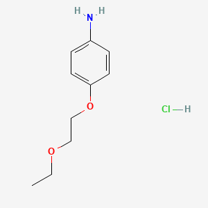 molecular formula C10H16ClNO2 B3078068 4-(2-Ethoxyethoxy)aniline hydrochloride CAS No. 1049750-45-9
