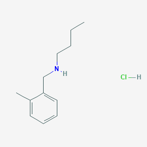 molecular formula C12H20ClN B3078137 N-(2-甲基苄基)-1-丁胺盐酸盐 CAS No. 1049773-07-0